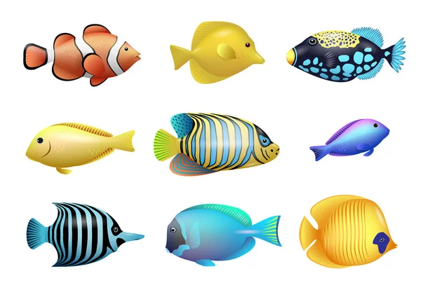 Set of tropical fishes — Stock Vector