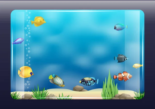Akvarium med exotisk fisk — Stock vektor