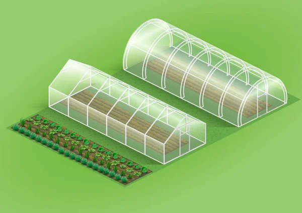 Conjunto de invernaderos para plantas — Vector de stock