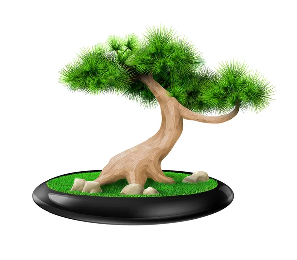 Pinheiro de árvore bonsai decorativo em vaso — Vetor de Stock