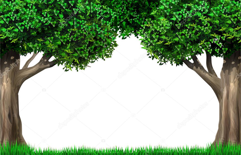 Decorative frame vignette of trees