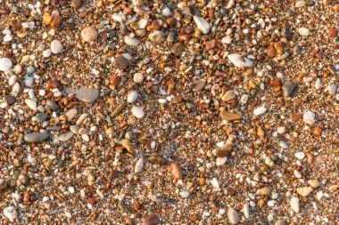 Çok renkli deniz çakıl. Doku ve arka plan