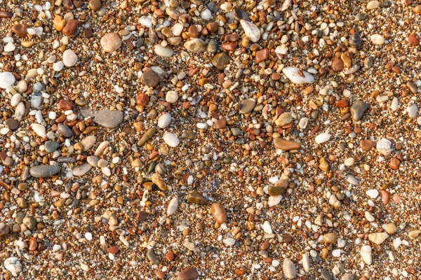 Çok renkli deniz çakıl. Doku ve arka plan