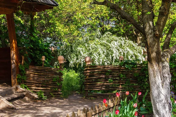Bir çıkış ile bahar bahçe ve Bahçe, geleneksel bir Ukraynalı avluda bir flowerbed çiçeklerle wattle çit ile dekore edilmiş kil tencere, sarmaşık ve meyve ağaçları.