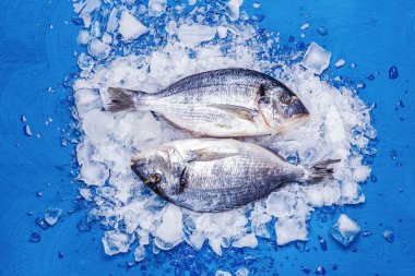 İki leşleri dorado balığı buz yastık mavi bir tablo üzerinde