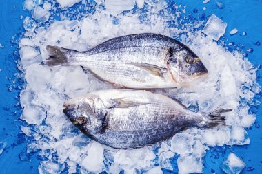İki leşleri dorado balığı buz yastık mavi bir tablo üzerinde