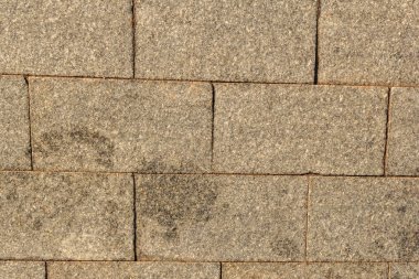 Parke döşeme, doku ve arka plan gri