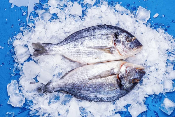 İki leşleri dorado balığı buz yastık mavi bir tablo üzerinde