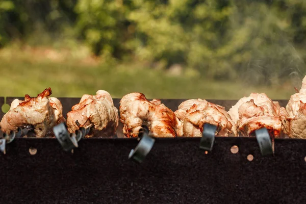 şiş ızgara kavurma et parçaları. Şiş kebap, Barbekü, domuz eti.