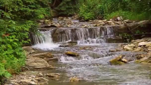 Streaming river in mountains. Calm stream of crystal clear water in river. Ukraine, Carpathians — 비디오