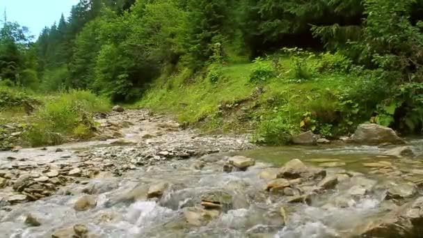 Řeka teče v horách. Klidný proud křišťálově čisté vody v řece. Ukrajina, Karpaty — Stock video