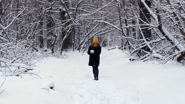 Une fille heureuse se promène dans la forêt d'hiver, sourit, a une bonne humeur, joue avec la neige, souffle des flocons de neige sur un fond de chute de neige — Video