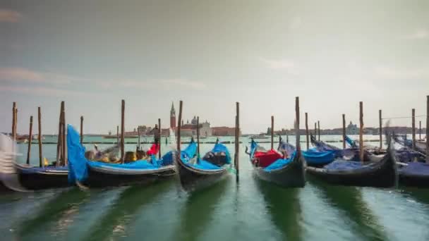 Gondolas in Venice lagoon — Stock Video
