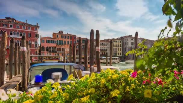 Día venecia restaurante bahía flores gran canal tráfico 4k tiempo lapso italia — Vídeo de stock