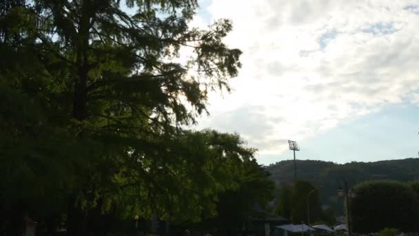 Zomeravond zon tuin boom bekijken 4 k-Italië — Stockvideo