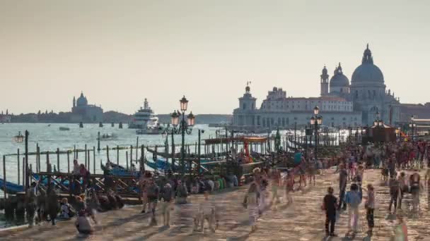 Piazza San Marko en Venecia — Vídeo de stock