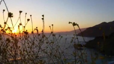 California kıyı şeridinde Big Sur