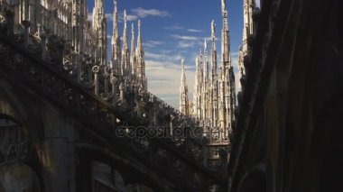 çatı görünümü Duomo Katedrali 