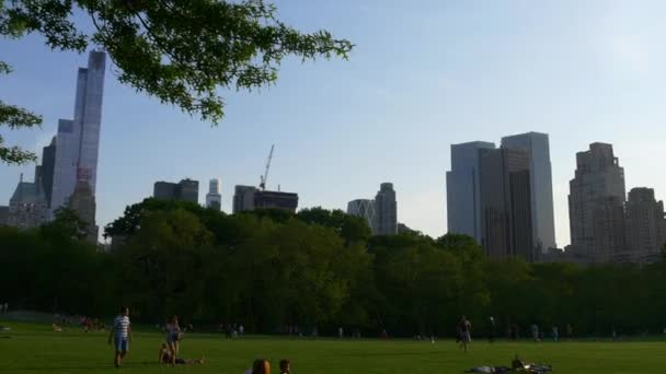 Persone che si rilassano sul prato nel Central Park — Video Stock