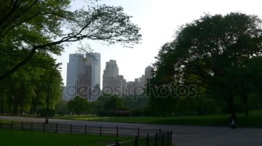 İnsanlar üzerinde çayır central Park'ta rahatlatıcı