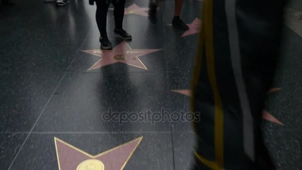 Hollywood Boulevard Walk of Fame — Stock Video