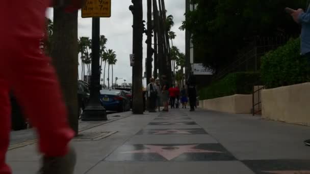 Hollywood Boulevard Walk of Fame — Stockvideo