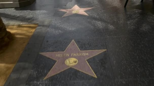 Hollywood Boulevard Walk of Fame — Stock Video