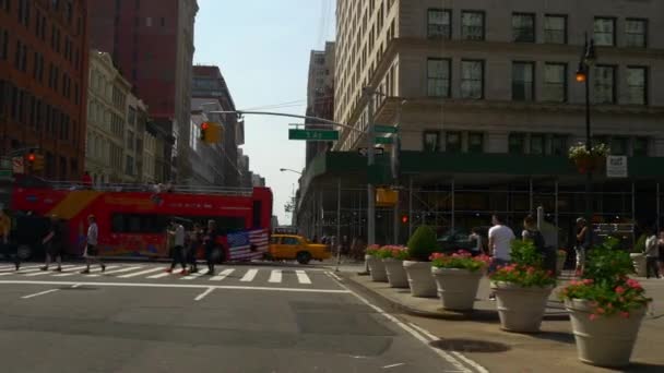 Vie de rue de New York — Video
