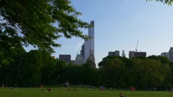 People relaxing on meadow in central park — Stock Video