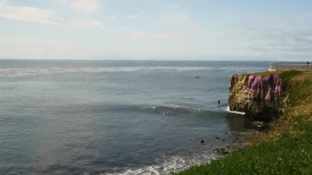 California Coastline along Big Sur — Stock Video