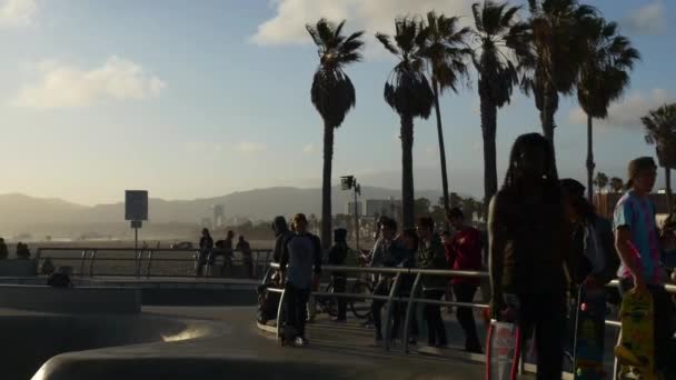 Skaters practicing their skills at park — Stock Video