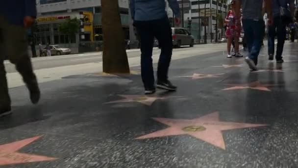 Hollywood Boulevard Walk of Fame — Stockvideo