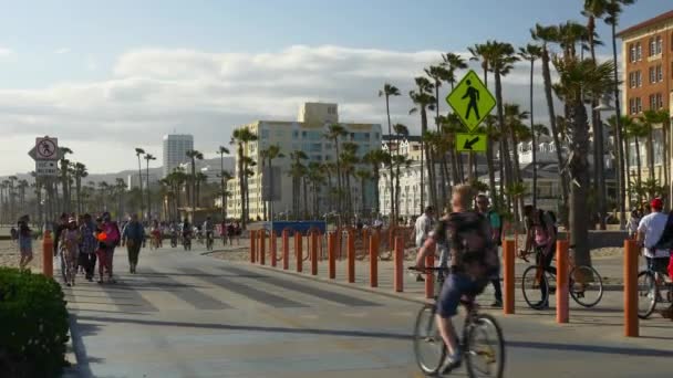 Gente despertando en Venice Beach — Vídeo de stock