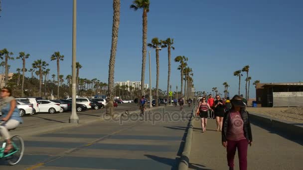 Люди просыпаются на Венецианском пляже — стоковое видео
