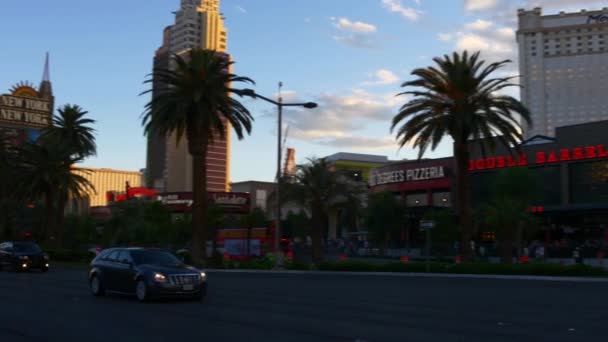 Las Vegas straat leven. — Stockvideo