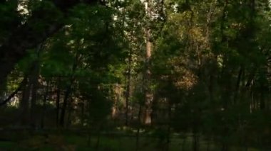 Güzel Yosemite Milli Parkı