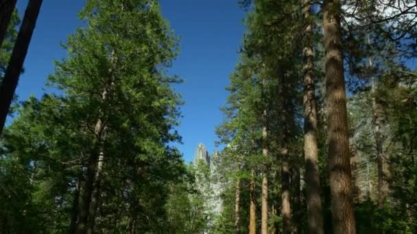 美しいヨセミテ国立公園 — ストック動画