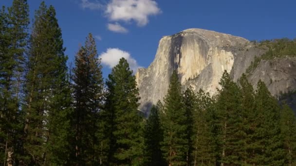Belo Parque Nacional de Yosemite — Vídeo de Stock