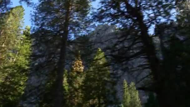 Beautiful Yosemite National Park — Stock Video