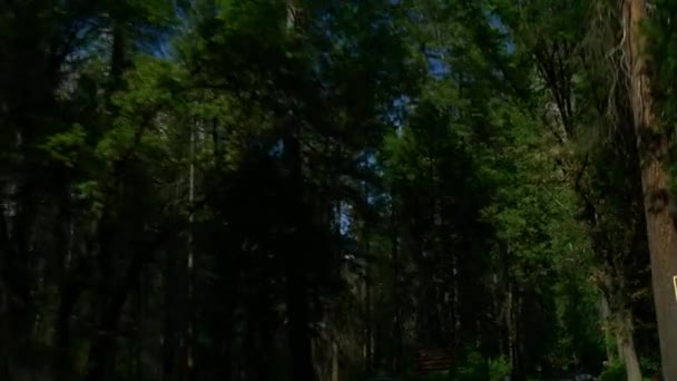 美丽的优胜美地国家公园 — 图库视频影像