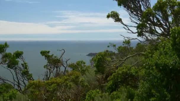 Praia de São Francisco — Vídeo de Stock