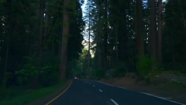 Beautiful Yosemite National Park — Stock Video