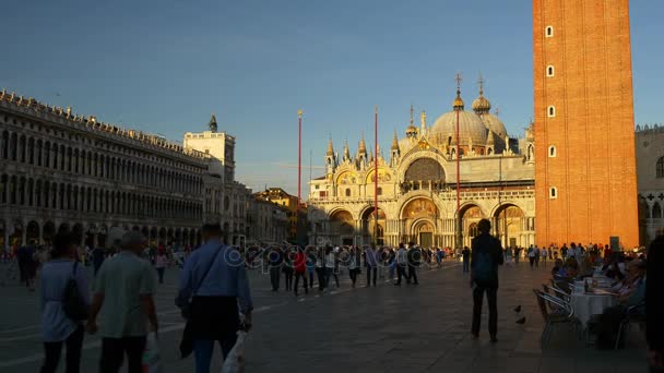 Gente caminando por la Plaza San Marco — Vídeos de Stock