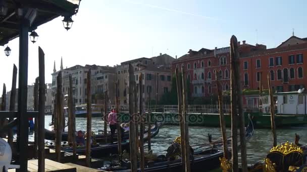 Gôndolas atracadas em San Marco — Vídeo de Stock