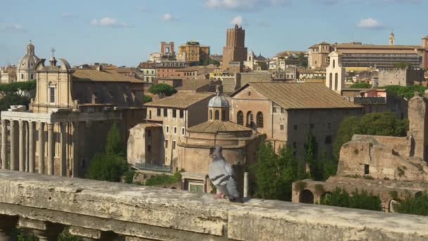 Ruinele Romei antice — Videoclip de stoc