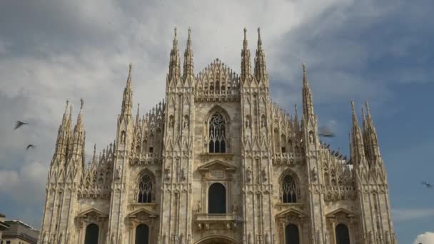 In piazza duomo — Video Stock
