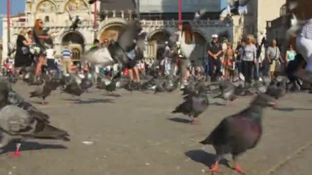 Pessoas caminhando na Piazza San Marco — Vídeo de Stock