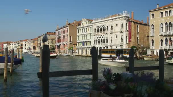 Prachtig uitzicht op het Canal Grande — Stockvideo