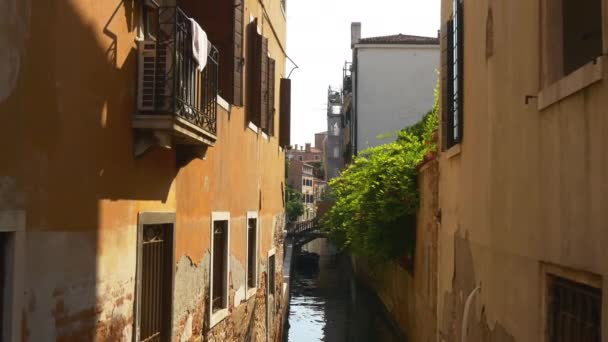 Hermosos canales en Venecia — Vídeo de stock