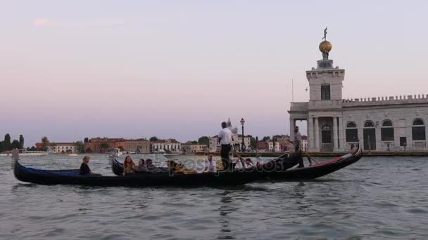 Prachtig uitzicht op het Canal Grande — Stockvideo